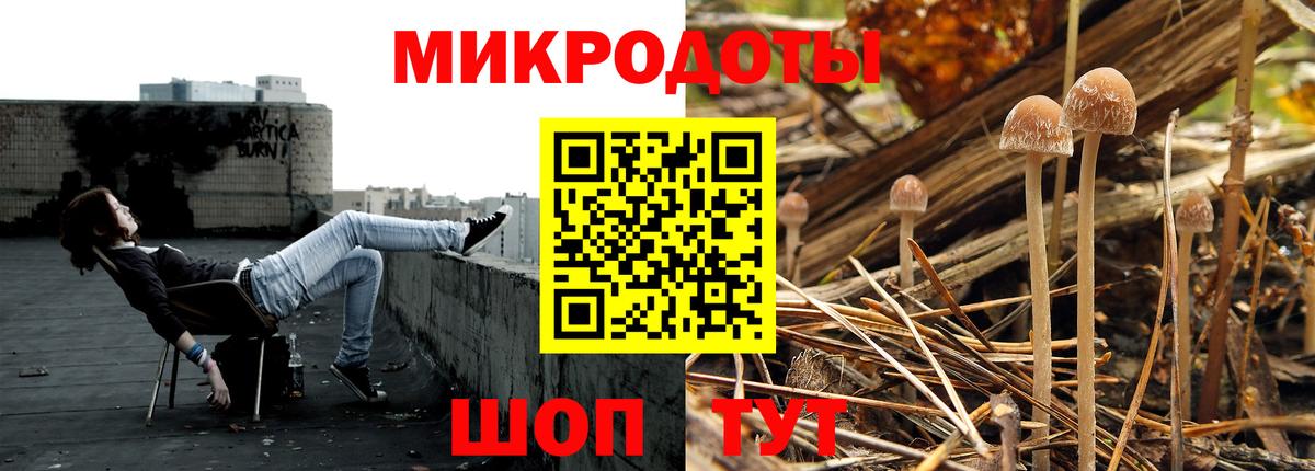 Домодедово  Галлюциногенные грибы GOLDEN TEACHER  Вход с VPN  Псилоцибиновые грибы Magic Shrooms 